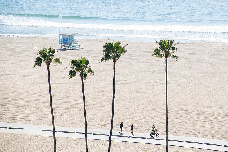 Santa monica beach with palm trees bike path and lifeguard hut