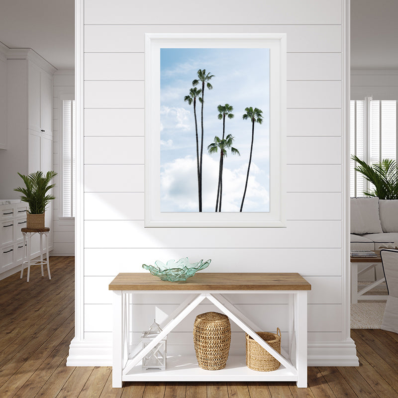 La Jolla Palm Trees