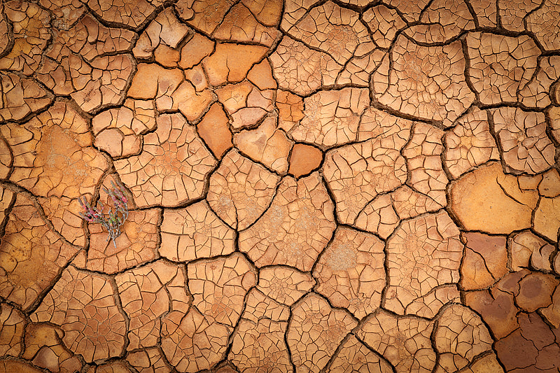 dry creek bed in orange and brown tones