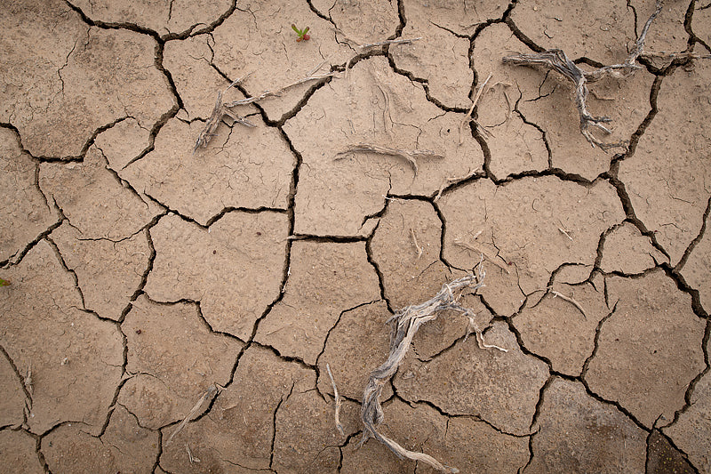 Dryout cracked clay creek bed