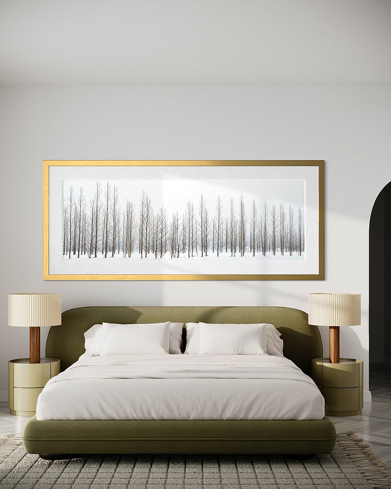 Winter Trees In Iceland