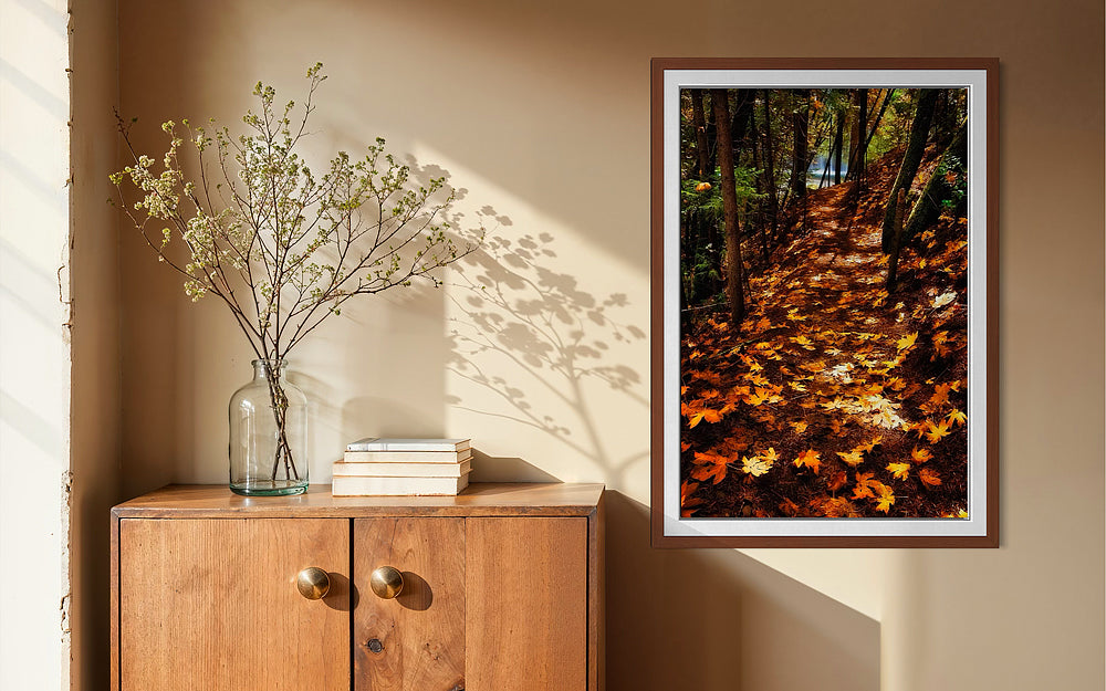 Fall Season Northern California