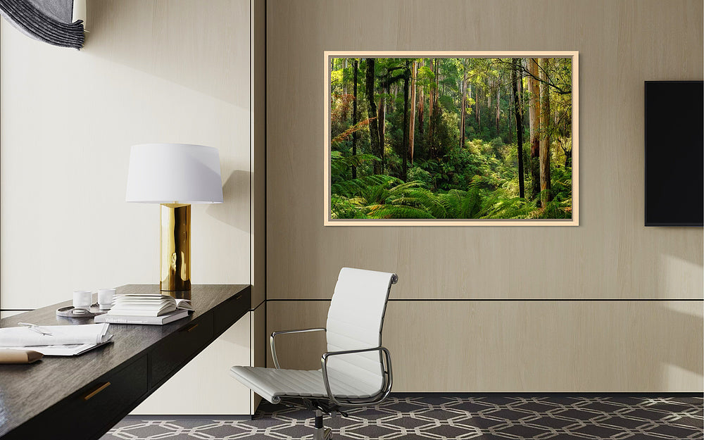 Great Otway National Park