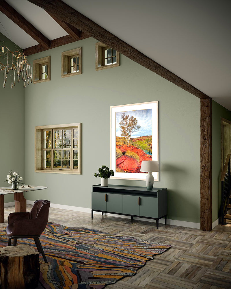 Tree On Karijini Gorge