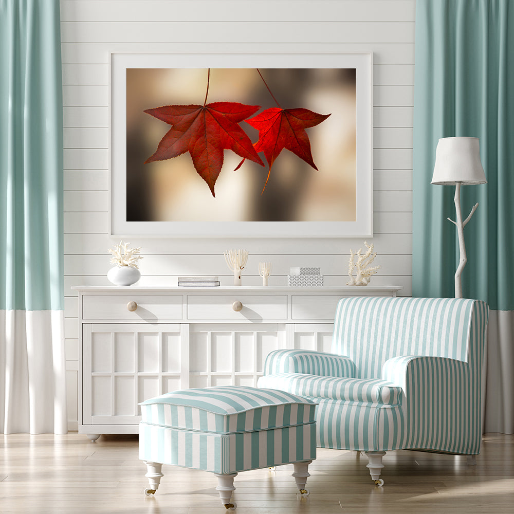 Scarlet Autumn Leaves