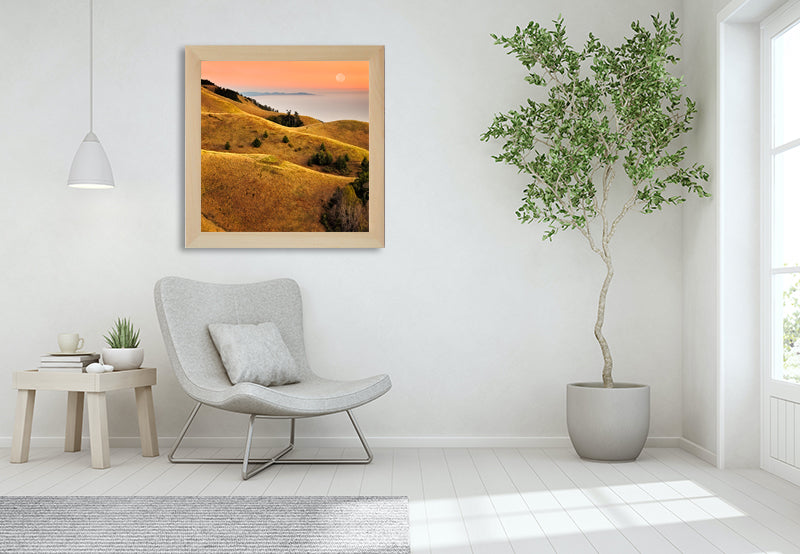 marin hills print