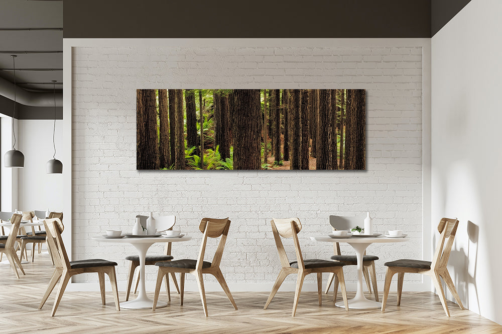 Print California Redwood Trees Hanging on wall