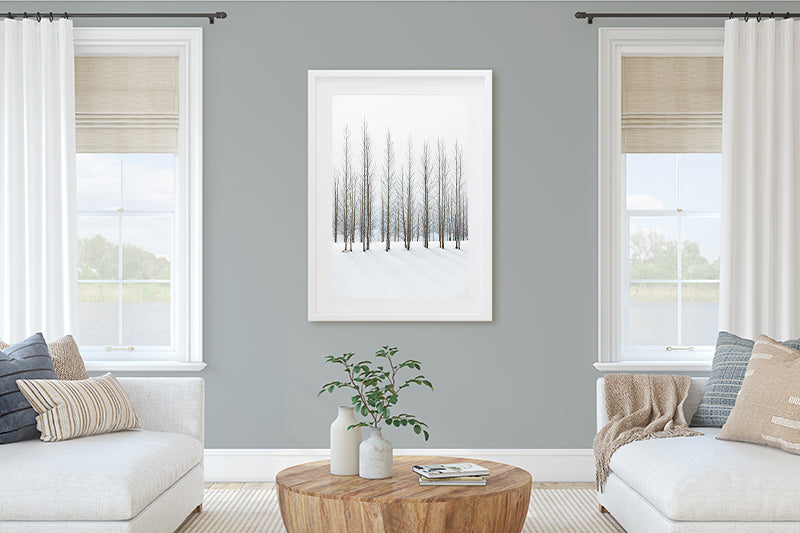 Icelandic Winter Trees