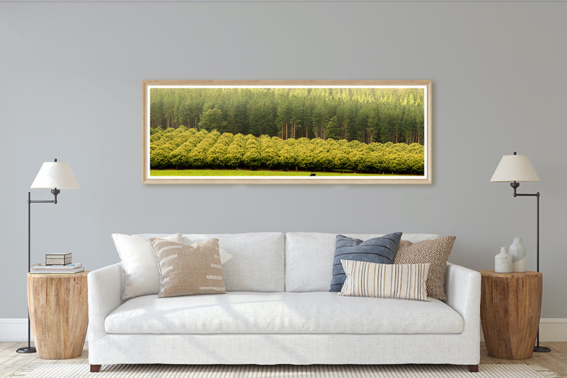 Chestnut Trees Farm