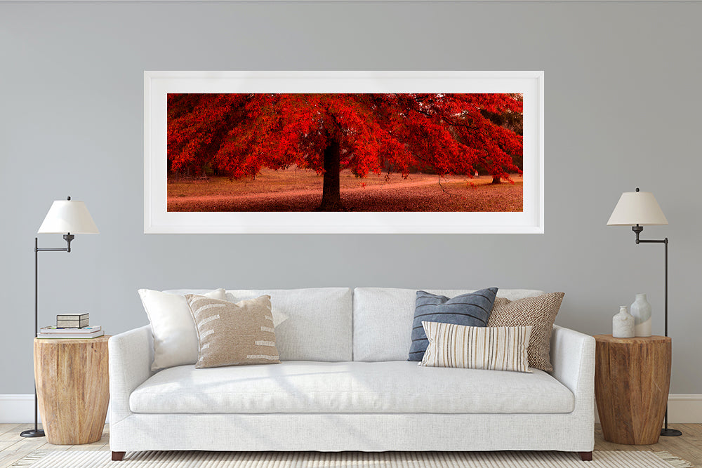 Red Leaf Autumn Tree
