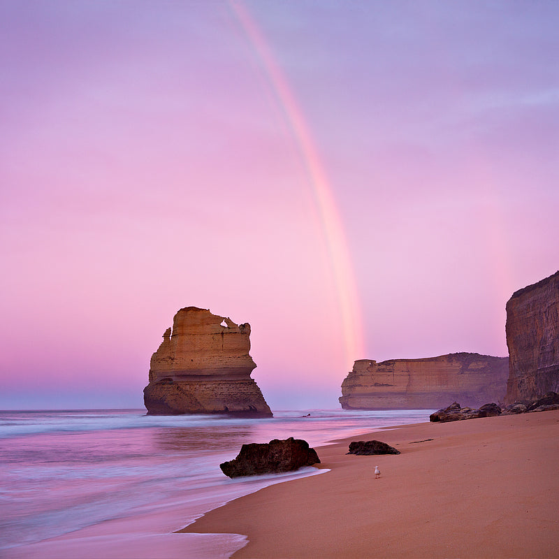 Gibson steps print great ocean road