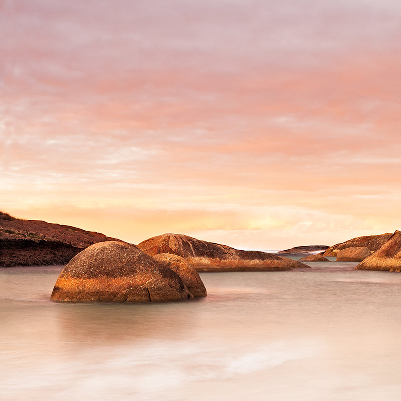 elephant cove print denmark