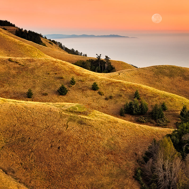 California print