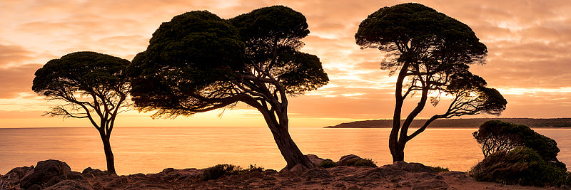 Sunrise over bunker bay rocky lookout