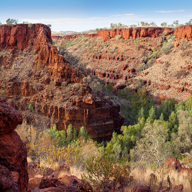 Dales Gorge Karijini National Park Print
