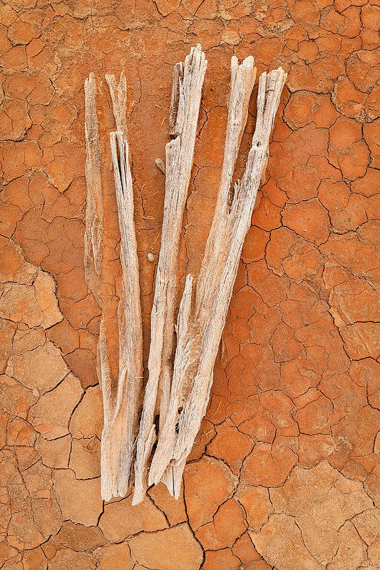 Dried worn sticks in orange clay bed