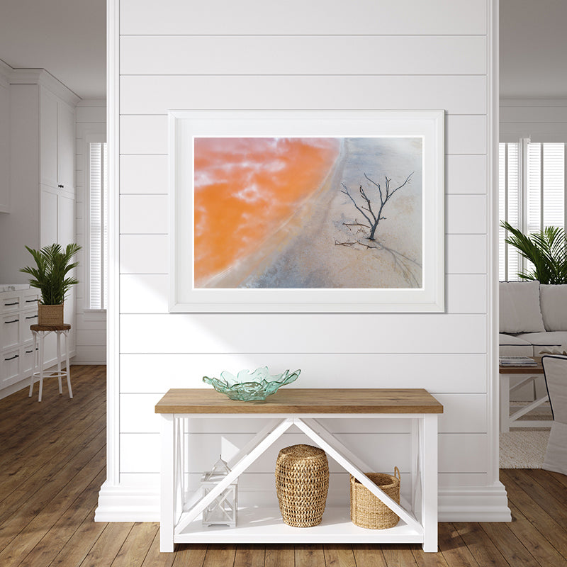 framed print hanging on wall of salt lake and tree
