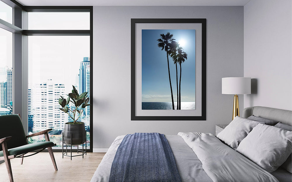 Palms On Laguna Beach