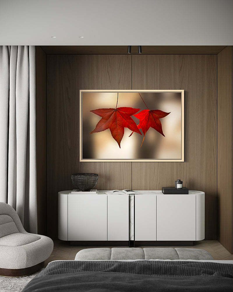 Scarlet Autumn Leaves