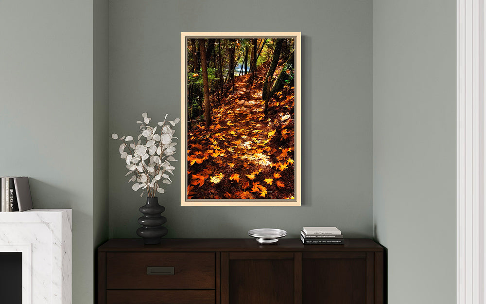 Fall Season Northern California