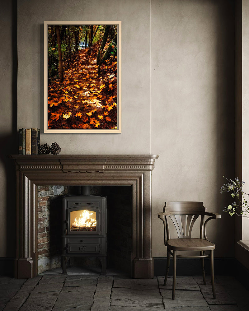 Fall Season Northern California