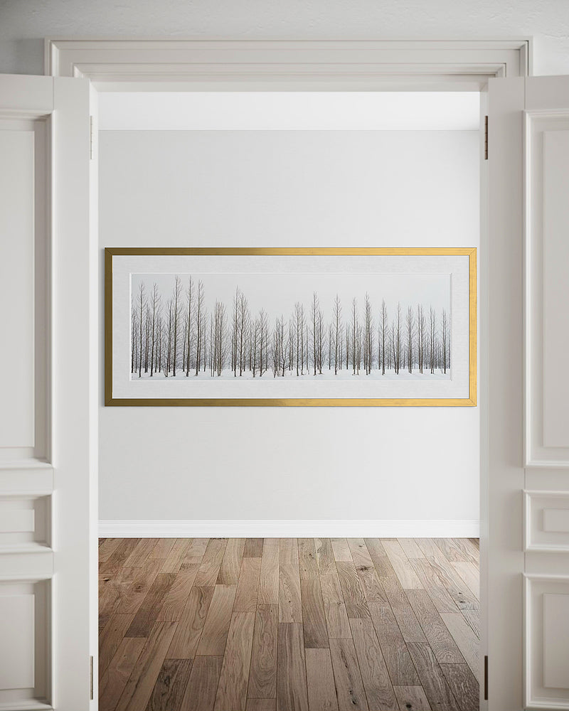 Winter Trees In Iceland