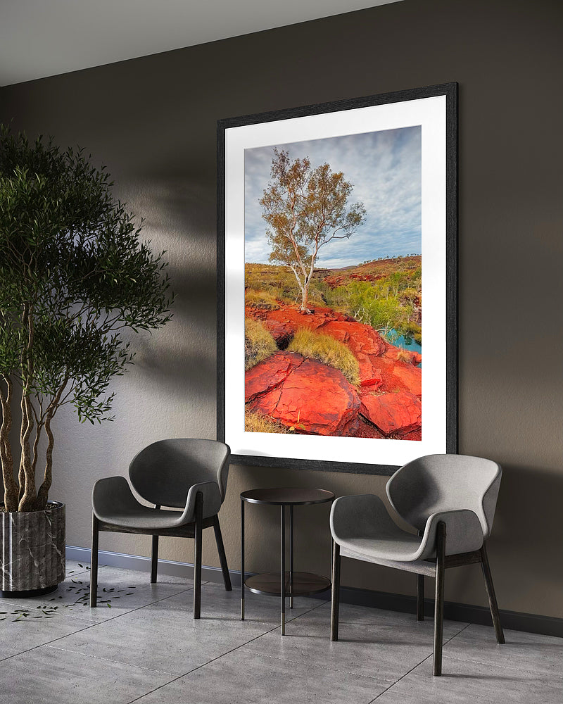 Tree On Karijini Gorge