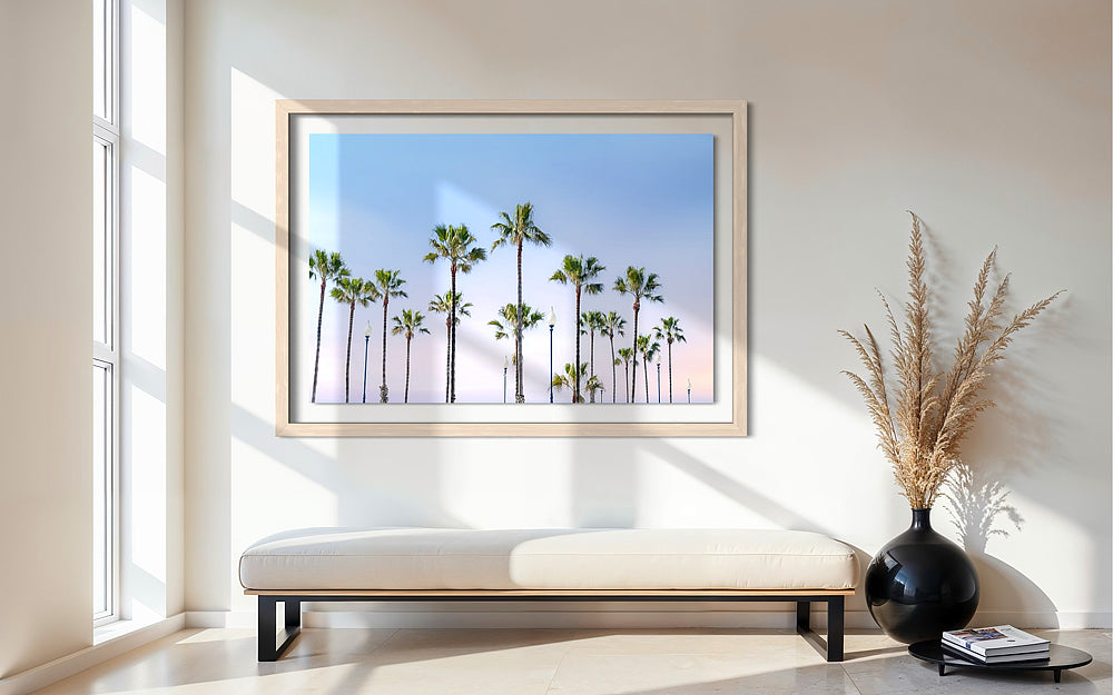 Morning Palm Trees Oceanside California