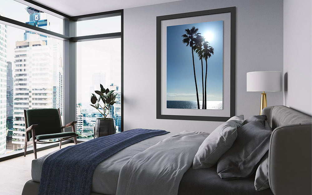 Palms On Laguna Beach