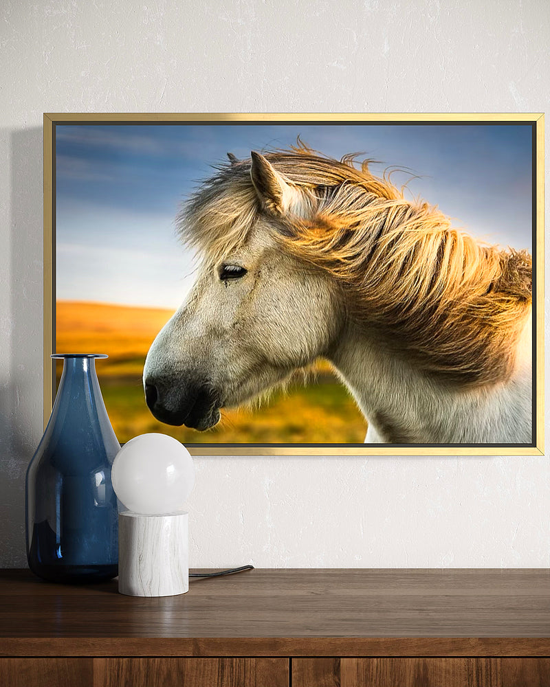 Icelandic Horse