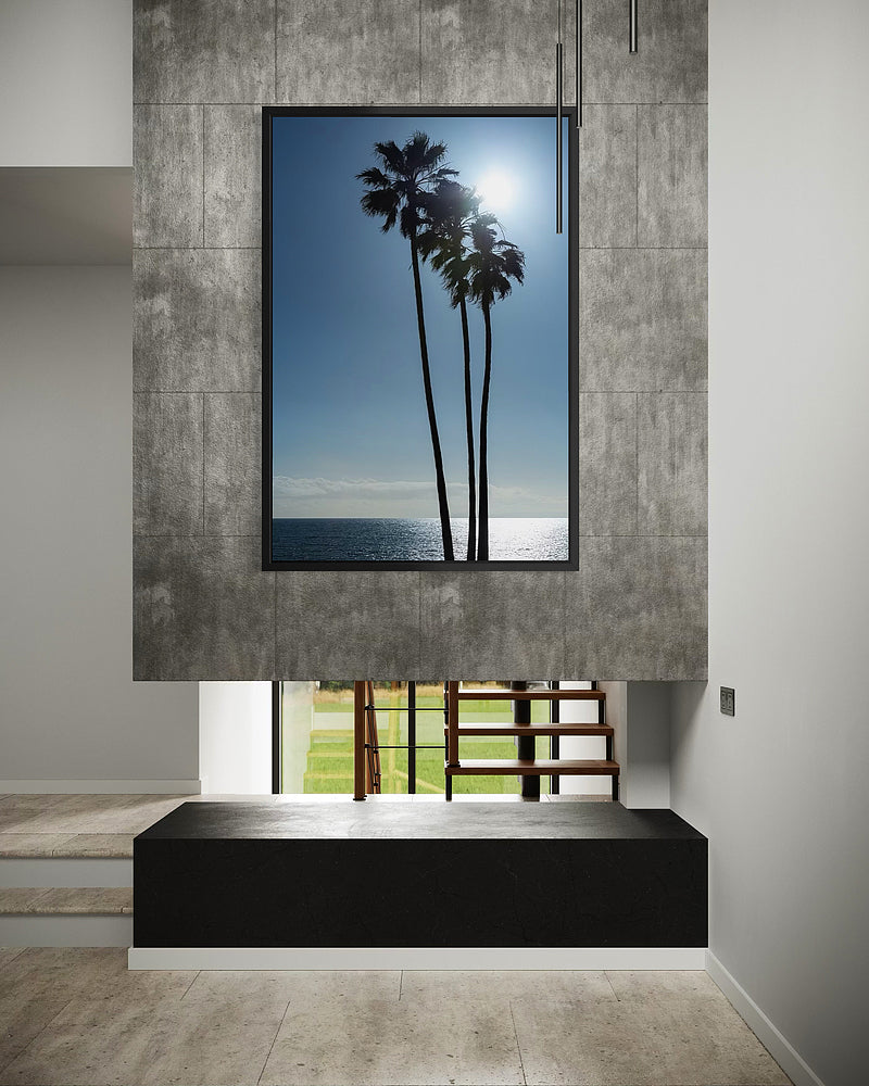 Palms On Laguna Beach