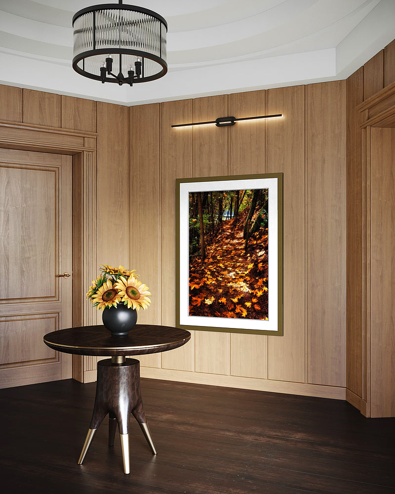 Fall Season Northern California