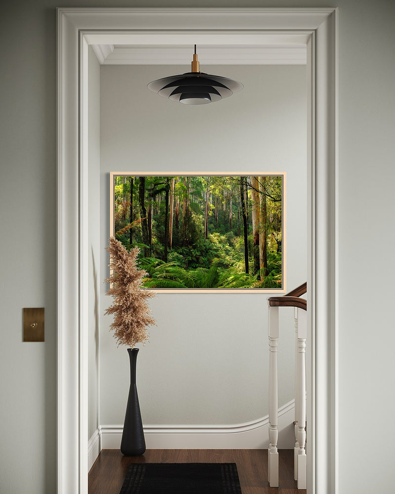 Great Otway National Park