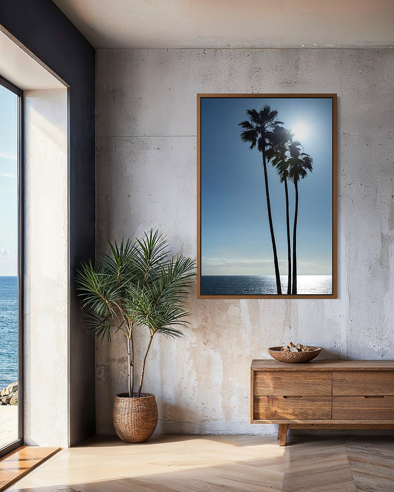 Palms On Laguna Beach