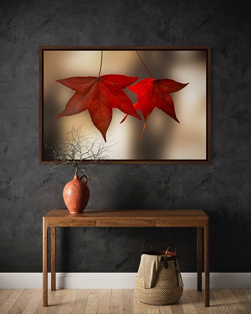 Scarlet Autumn Leaves