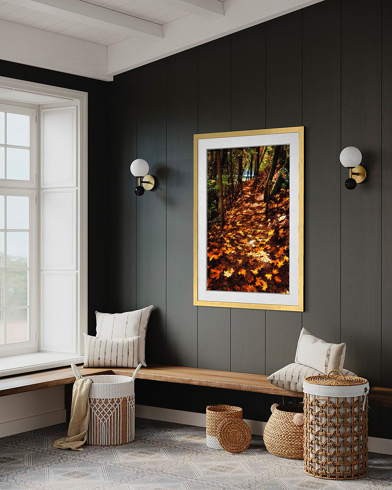 Fall Season Northern California