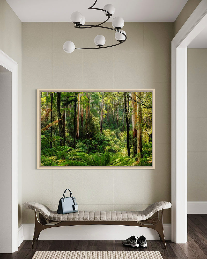 Great Otway National Park