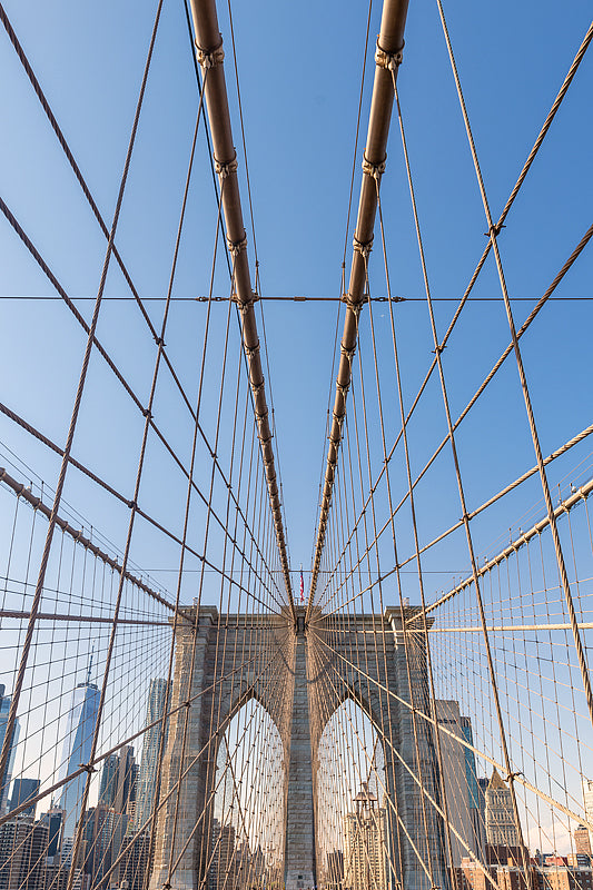 The Brooklyn Bridge And Manhattan Skyline