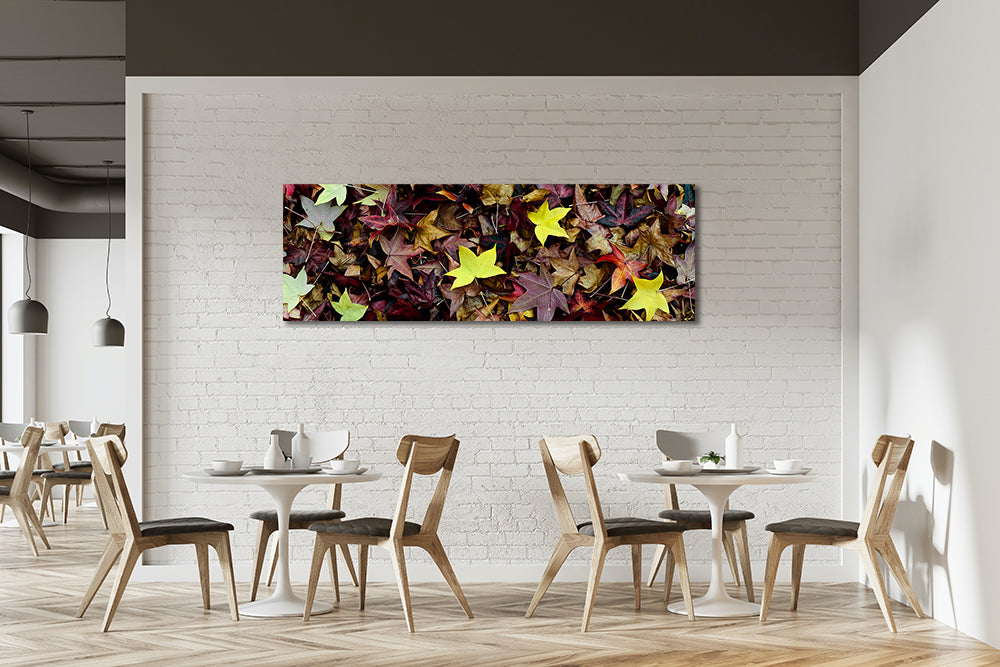 Autumn fall leaves print hanging on wall