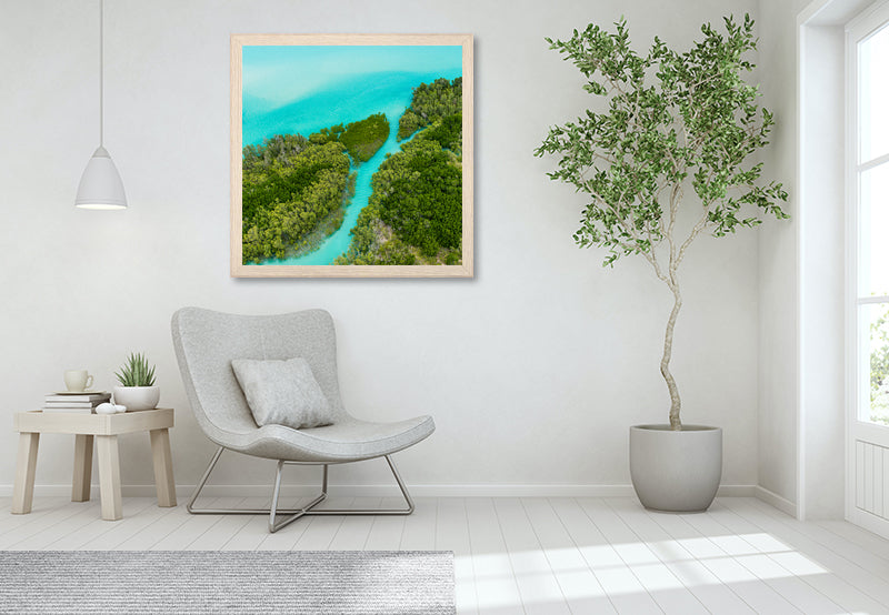Large aerial print of mangroves from broome