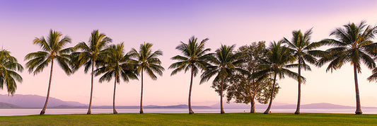 Rex Smeal Park Port Douglas