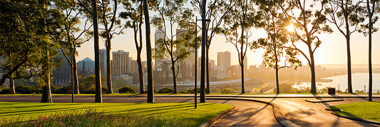 Dawn At Kings Park Perth