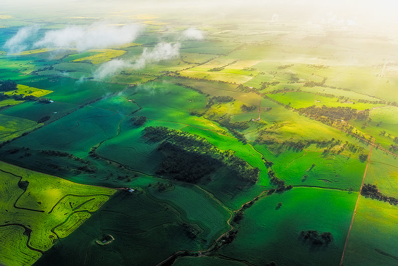 golden light on farmland from above