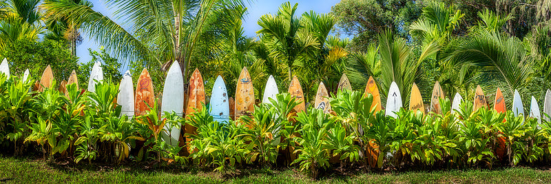 Maui Surfboards