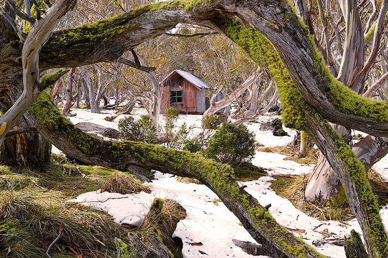 Victorian Snow Fields Hut