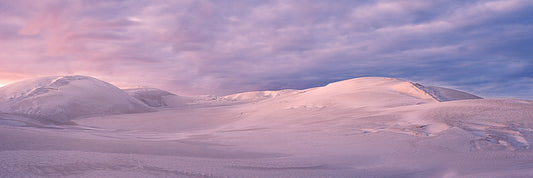 Cervantees Sand Dunes