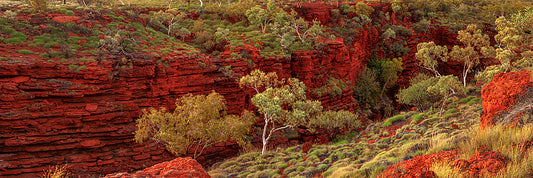 Karijini National Park Gorge